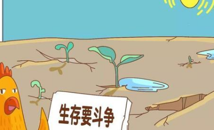 关于适者生存有什么寓言故事?故事教会了什么道理?