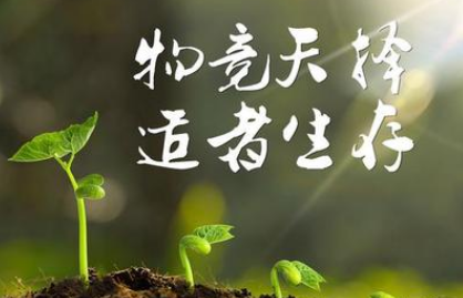 关于适者生存有什么寓言故事?故事教会了什么道理?
