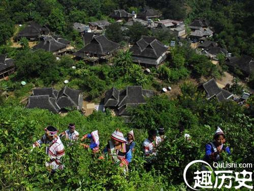基诺族喜欢吃什么?基诺族的饮食习惯